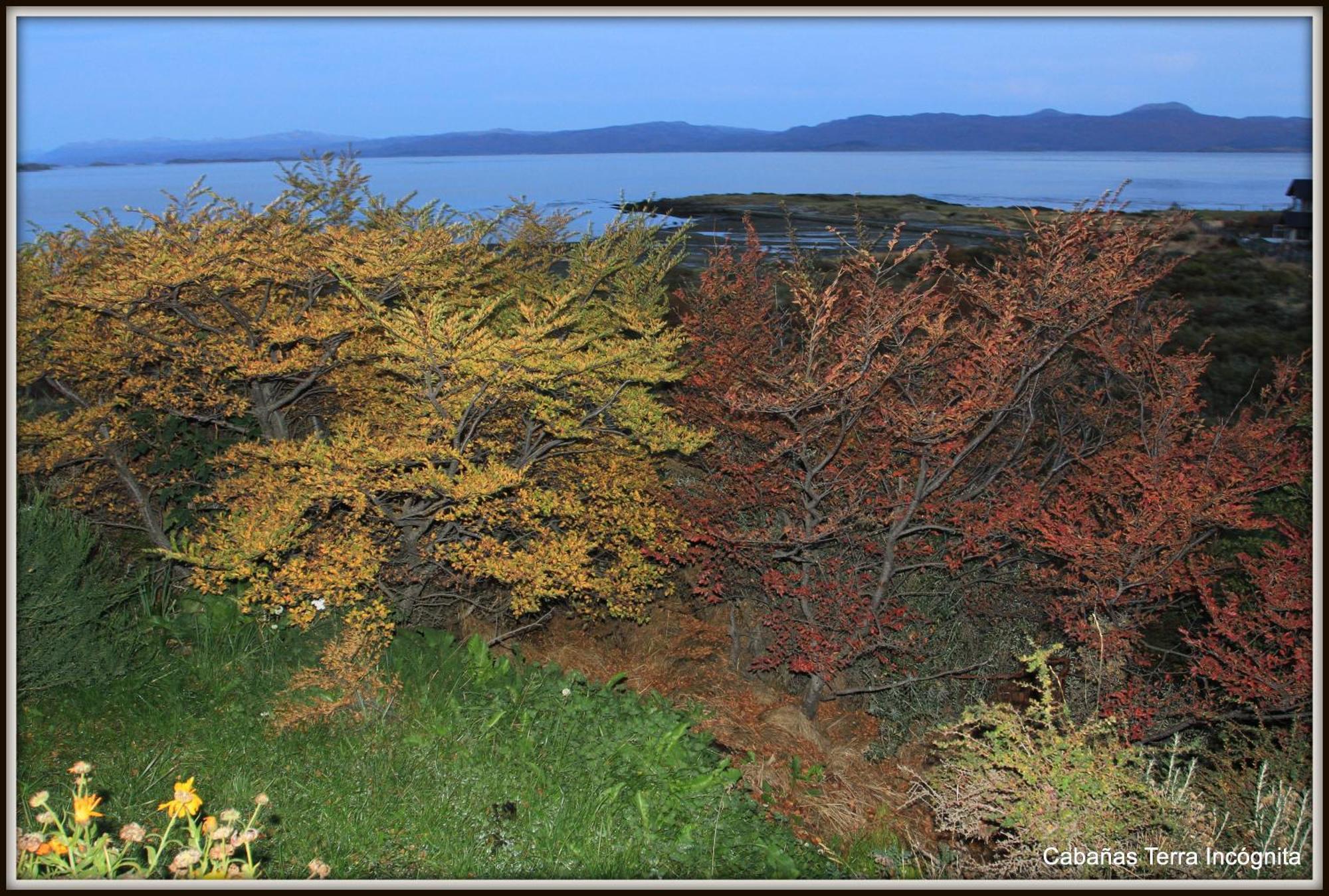 Terra Incognita Vila Ushuaia Quarto foto