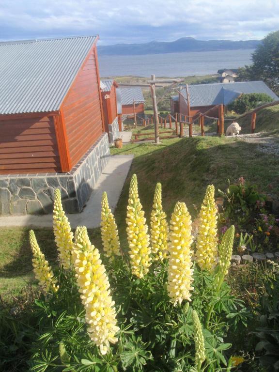 Terra Incognita Vila Ushuaia Quarto foto